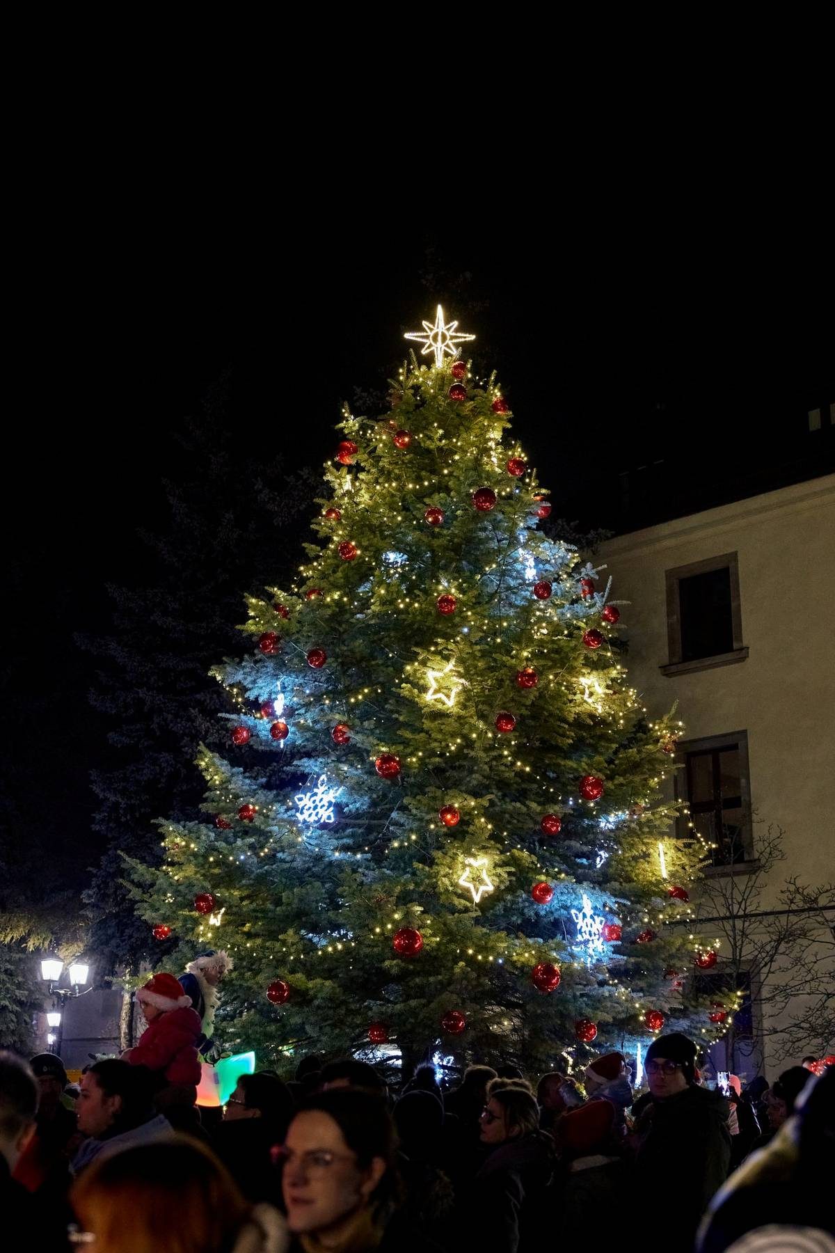 Swarzędz szuka choinki na Rynek. Można zgłosić swoje drzewo