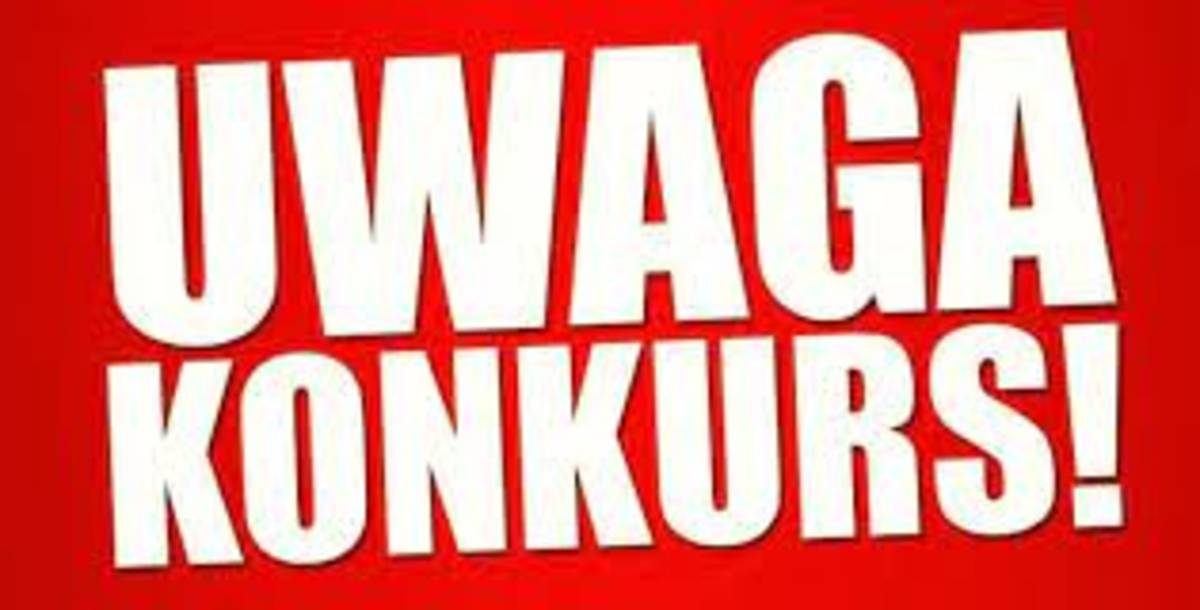 Drugi konkurs ofert dla organizacji pozarządowych w zakresie kultury